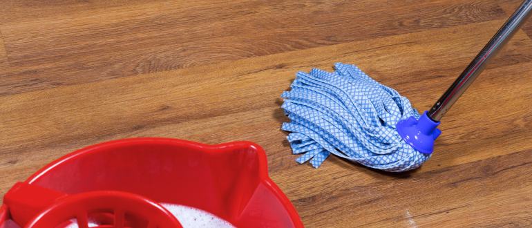 best mop for wood floors intro